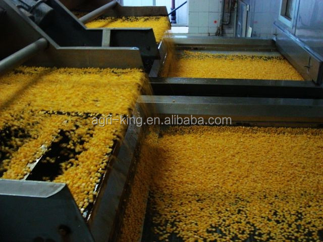 frozen sweet corn kernel