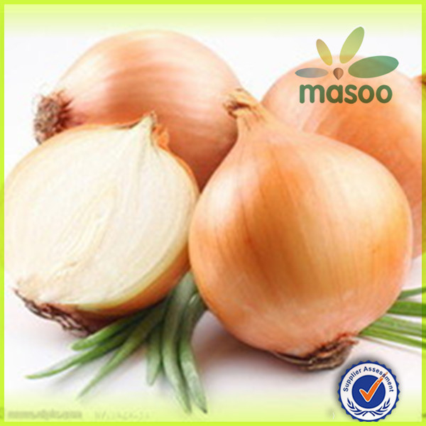 New Crop Chinese High Quality Fresh Onion for Sale / green onion / dried onion