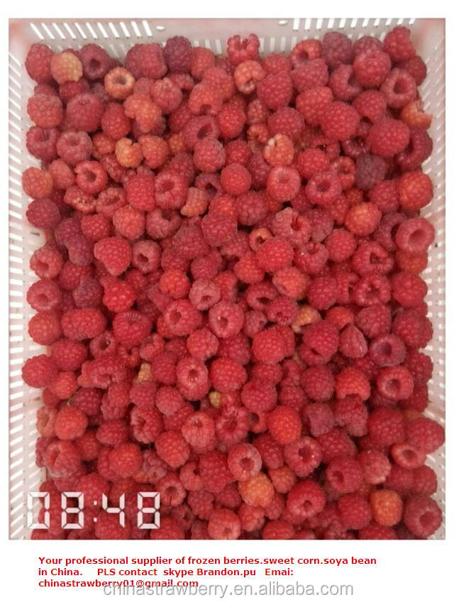 Frozen berries: IQF raspberry class A/B/C