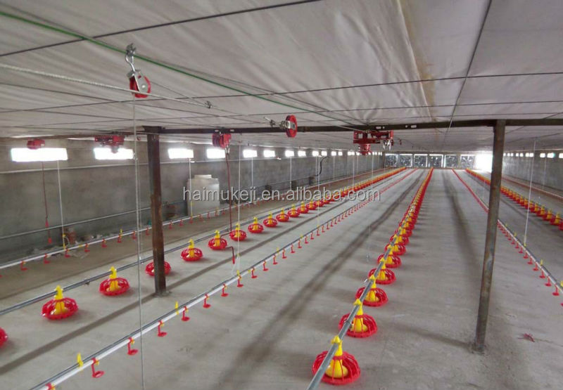 Poultry farm automatic feeding line system for cock