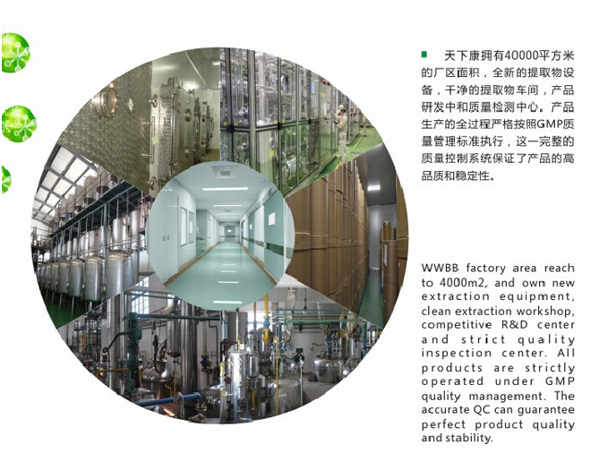 40% Tea Polyphenols for healthy or drinking black tea extract powder