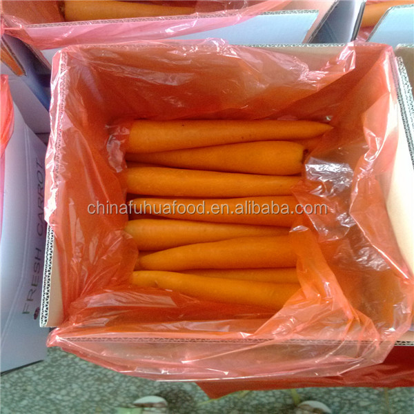 Fresh Carrot Vegetables