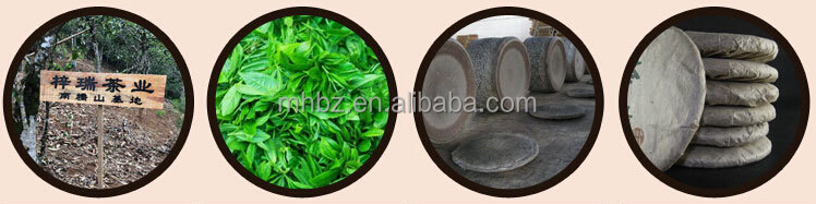 New Processing Raw Puerh cake teas