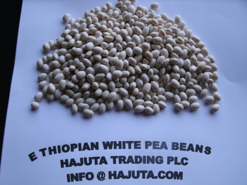 Ethiopian White Pea Beans Buy White Pea Beans Product on