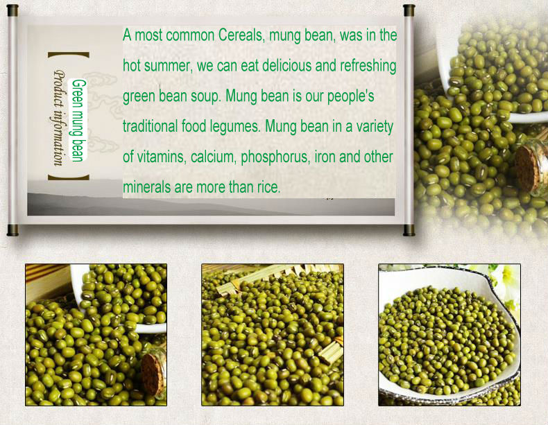 25/50kg Mung bean sprout in pp bags