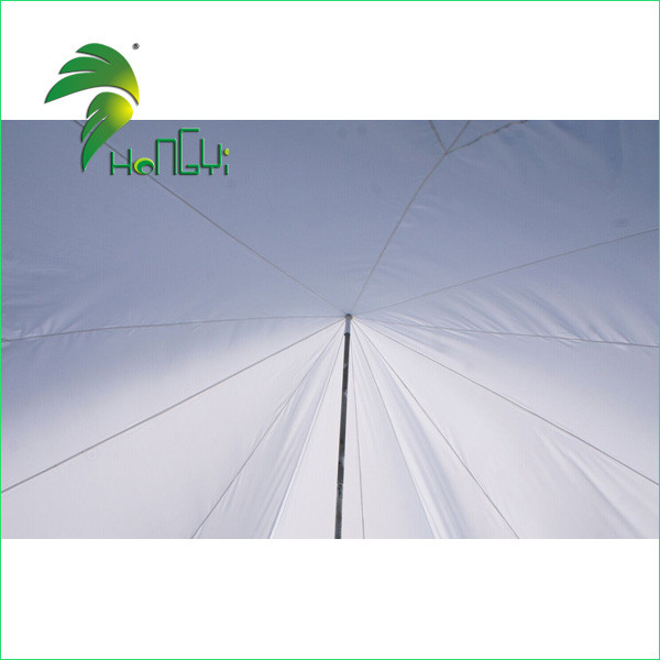 star tent with one pole (3)