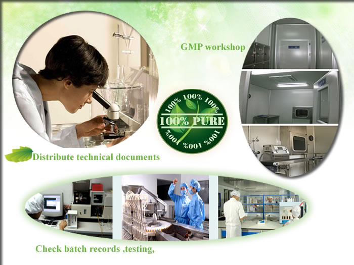 white tea extract powder, matcha green tea extract powder, organic green tea extract powder