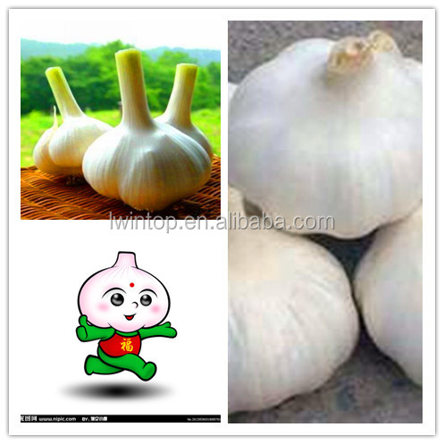 LW-2014 Garlic Price, natural garlic, Fresh Garlic