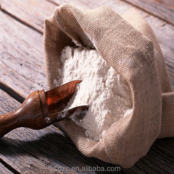 Good wheat flour price russia origin