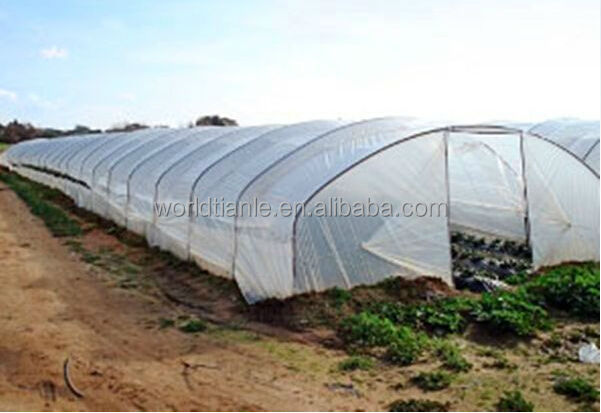 PE agricultural film for vegetables.jpg