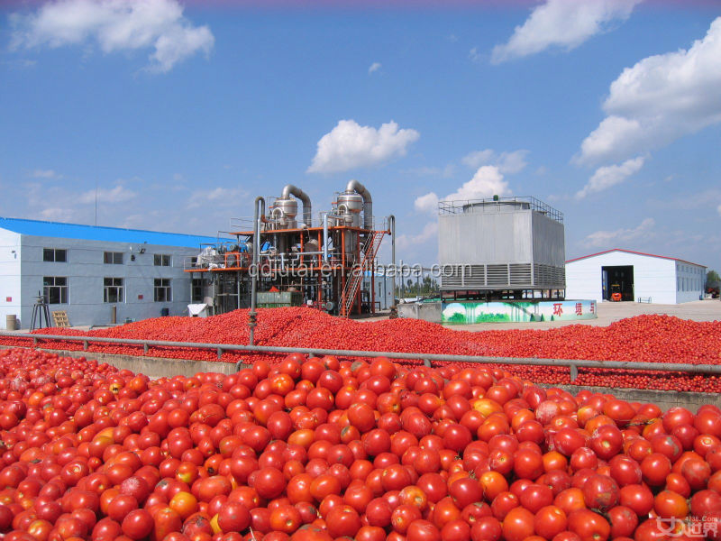 Private Label Tomato Paste Price Ton