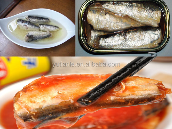 125g cans Sardine in tomato sauce