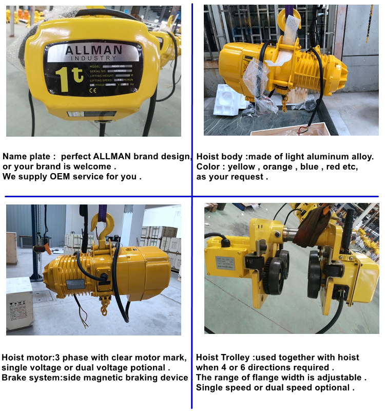 1ton hoist .jpg