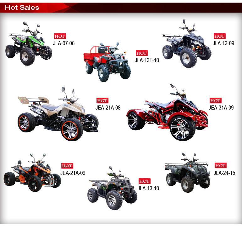ベスパスクーターnew300cc3輪トライクのバイク仕入れ・メーカー・工場