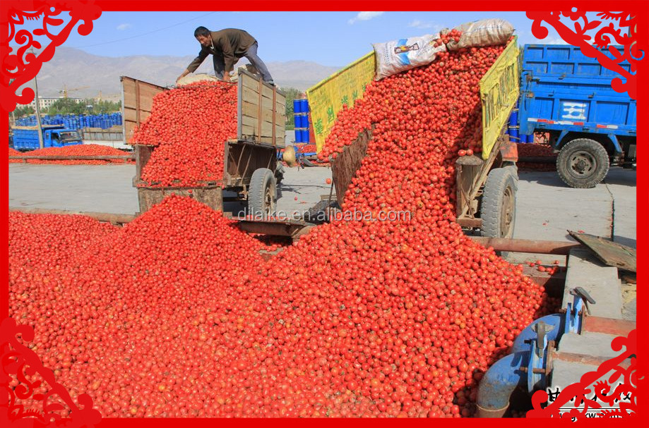 offer canned tomato paste