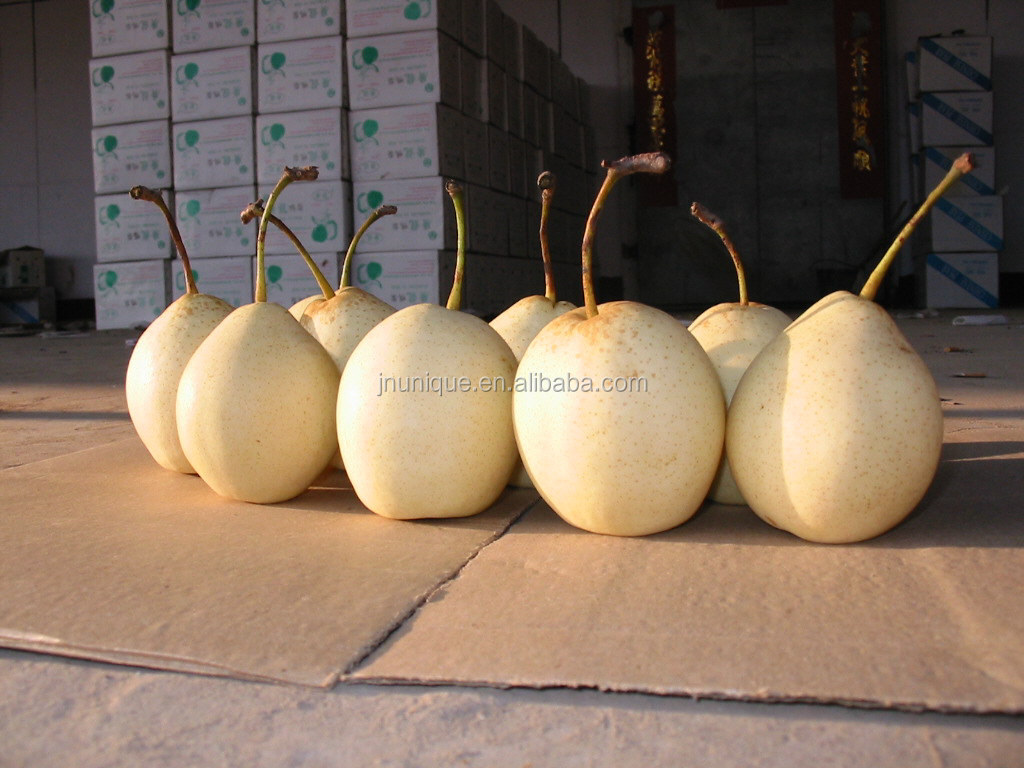 Grade A Sweet Juicy fresh crystal ya pear
