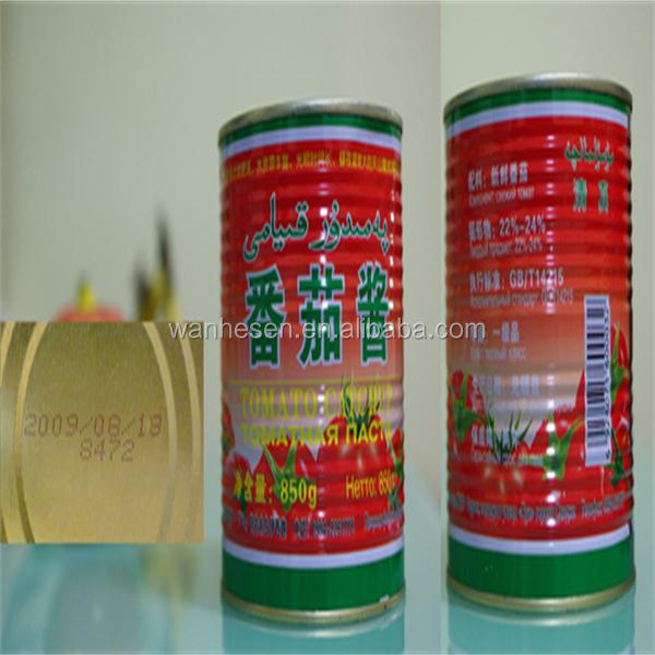 kosher food companies 800g canned tomato sauce supplier in china with good quality