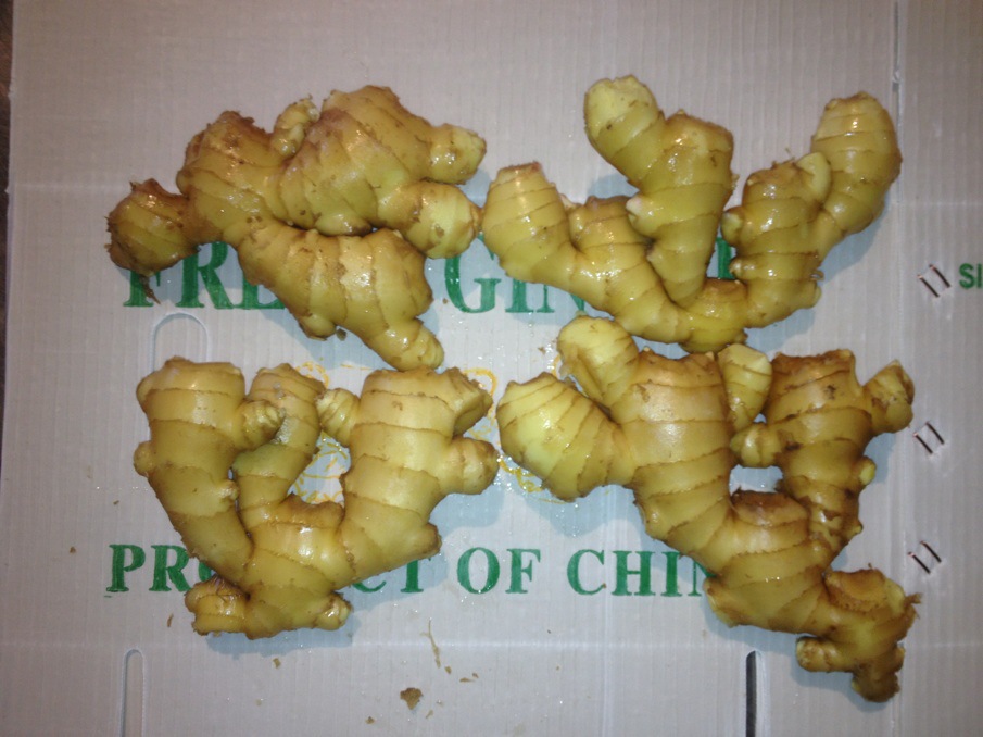 20kg Mesh Bag Package Air Dry Ginger