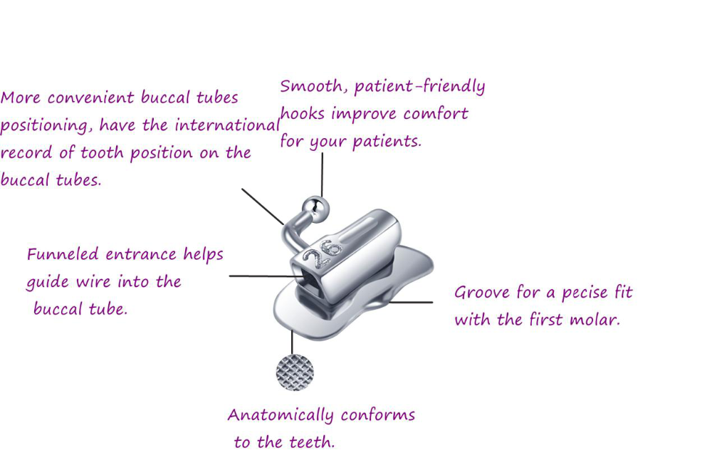 Orthodontic Buccal Molar Tube For The 1st Molar Second Molar Buy