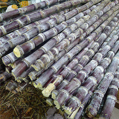 sugarcane juice machine/sugar cane crusher/sugar cane extractor