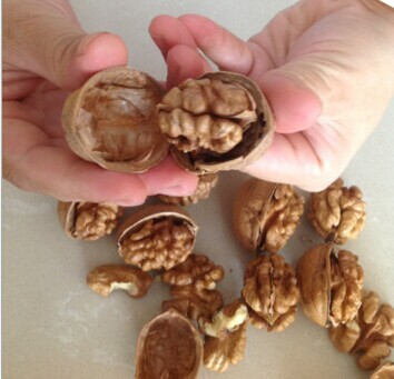 crushed walnut shells