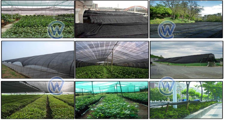 SHADE NET APPLICATE