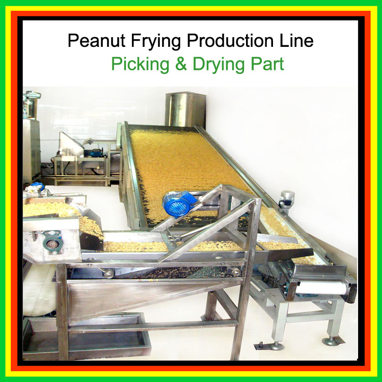 Peanut Frying Production Line/salted peanut production line/flavored peanut production line