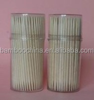 toothpick in plastic tube.JPG