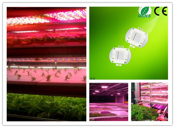 CE Approved Bridgelux Chips 15w LED RGB RGBW Full Spectrum Plant Grow Light (3).jpg