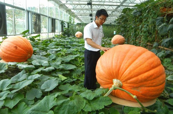 Pin on Food & Recipes