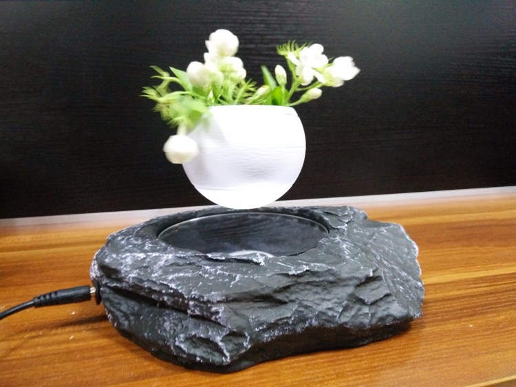 Levitating Bonsai Tress Variety and Bonsai Product Type levitating bonsai (15).jpg