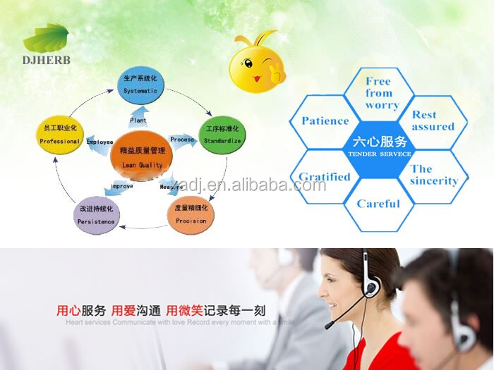 Cocoa extract,cocoa seed extract,cocoa extract powder