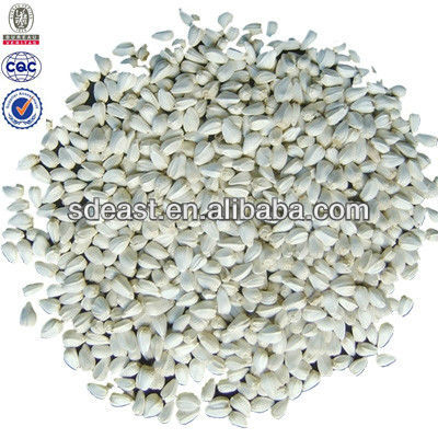 safflower seed buy safflower seeds for sale safflower safflower seed buy safflower seeds for sale safflower