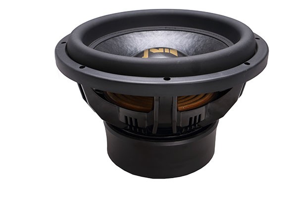 subwoofer motor motor subwoofer.JPG
