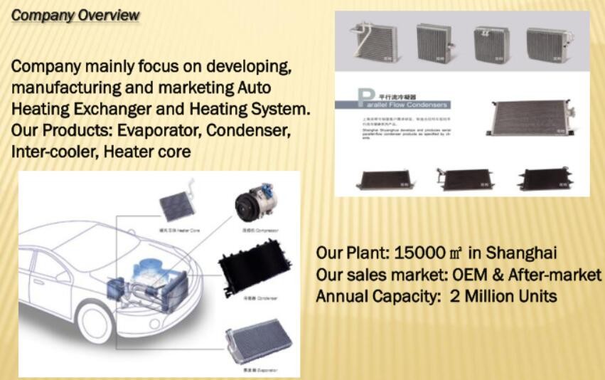 company overview.jpg