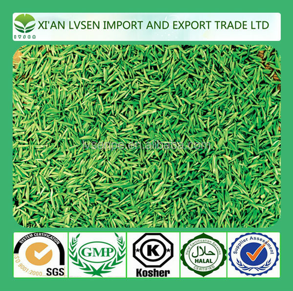 Improving immunity and Anti-radiation green tea extraction polyphenols powder 50%-98%
