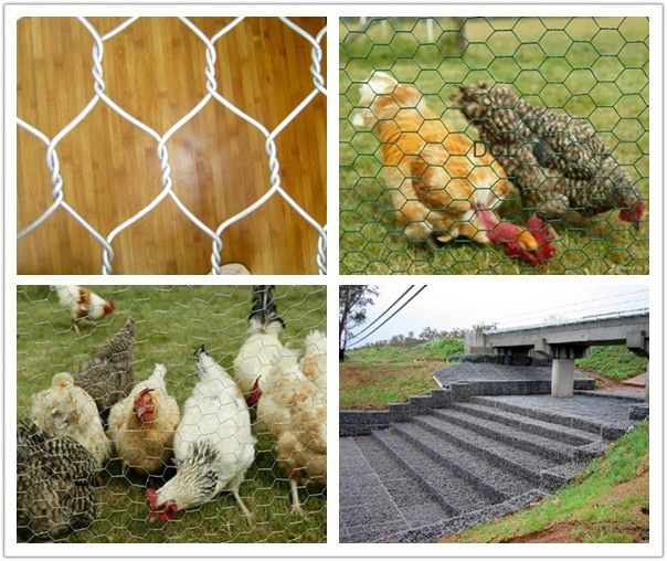 Protection hexagonal wire mesh chicken coop fence