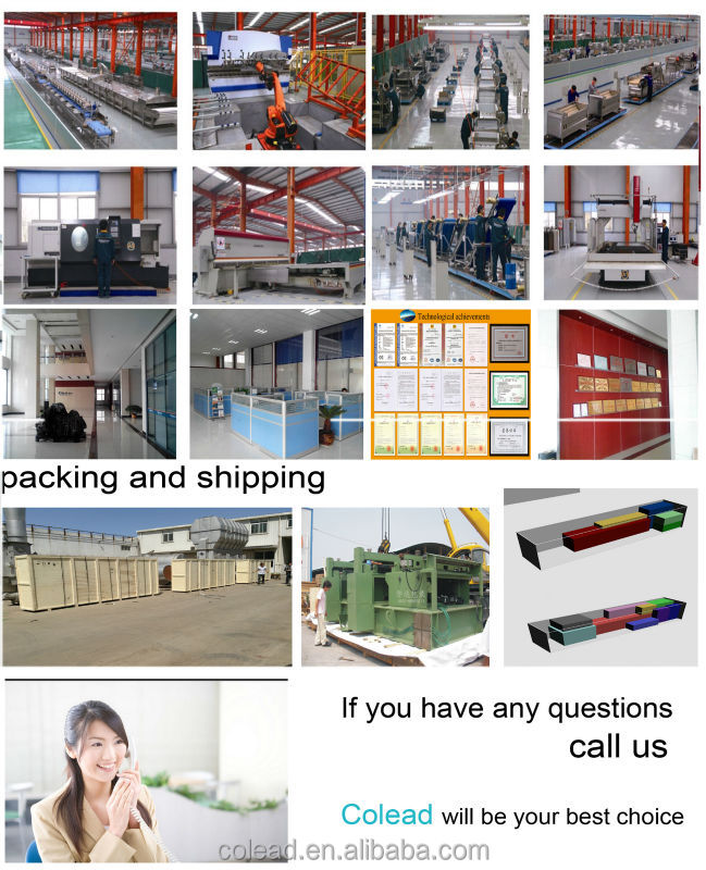mushroom slicing machine/canned mushroom processing line /mushroom processing /washing