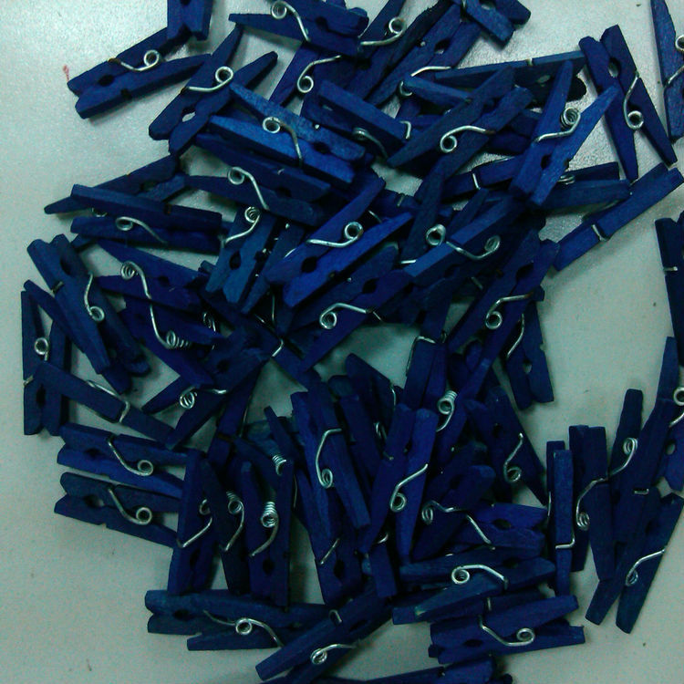 dark blue mini pegs 