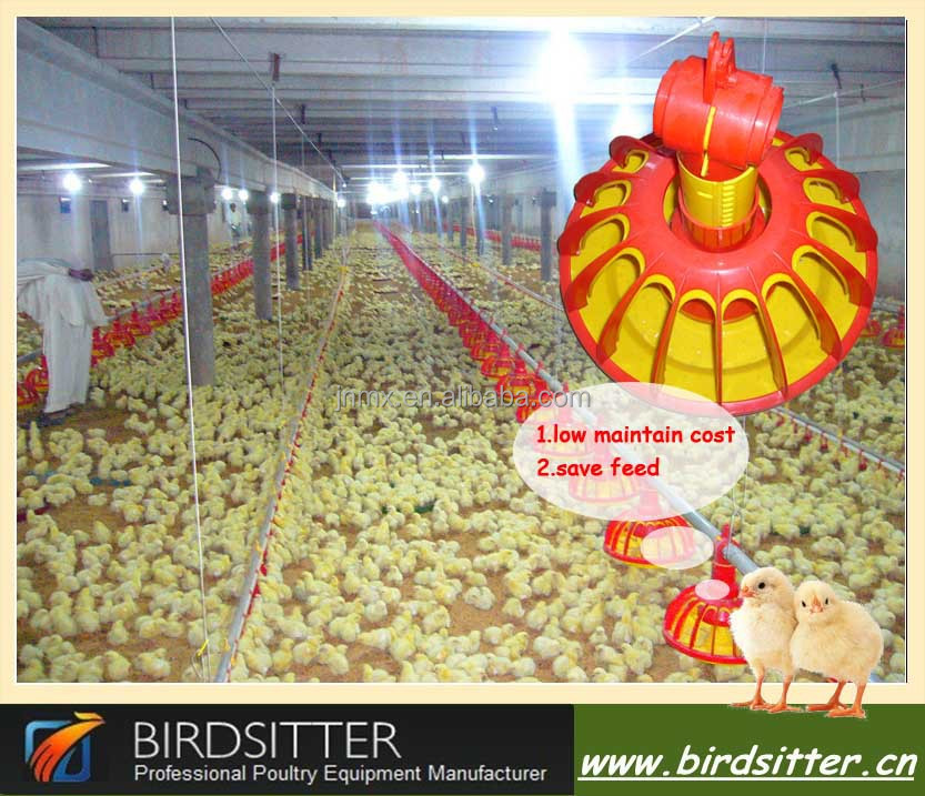 Chicken farms for sale in eastern nc