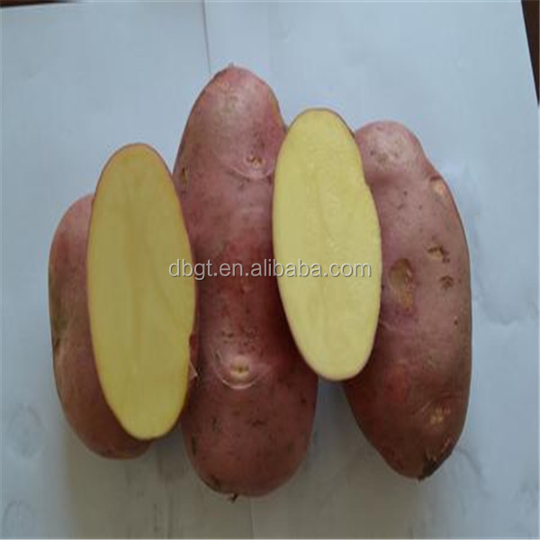 types of potatoes/new type potato product