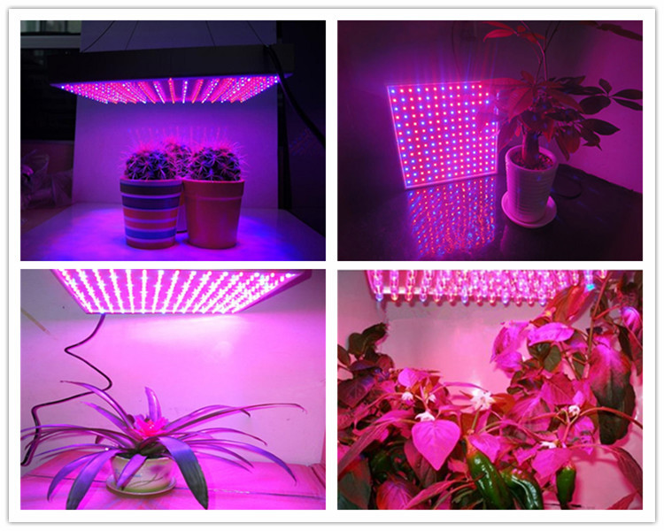 屋内温室の植物はライトを育てる最高のled赤青15w栽培ライト仕入れ・メーカー・工場