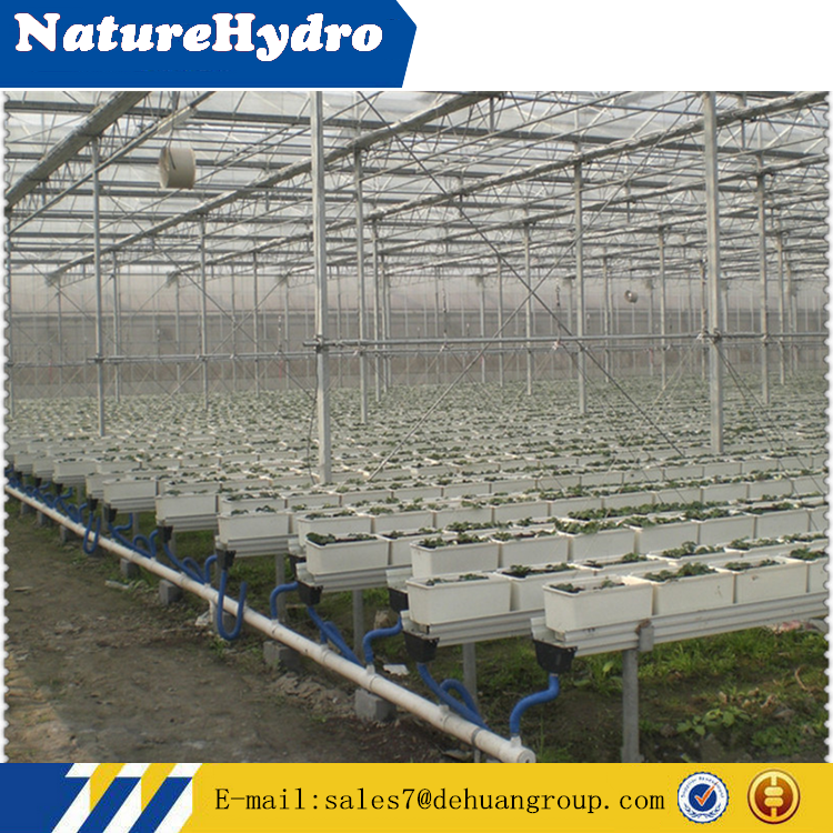 plastic white bato bucket aquaponics system