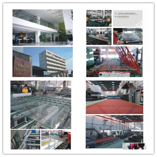 AS/NZS2208 /SGCC /BS6260 certificated 10mm Tempered Glass price From Manufacturer