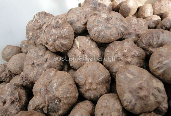 Cheap Konjac Extract Glucomannan Powder