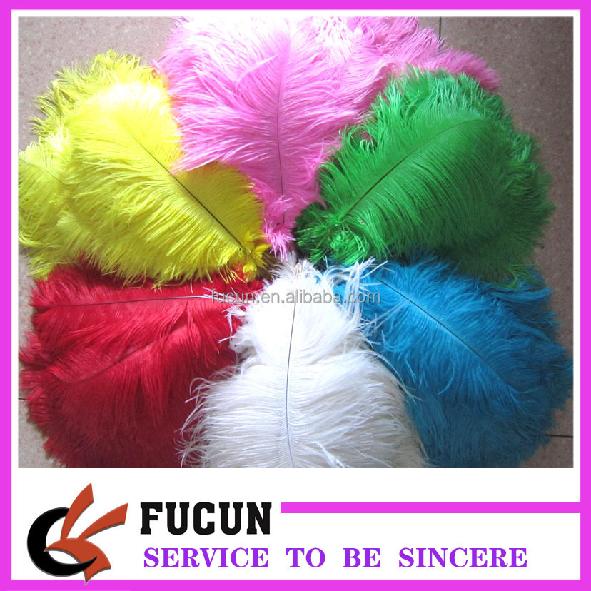 ostrich feather