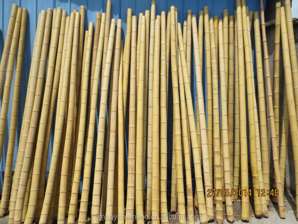 bambooo poles.jpg
