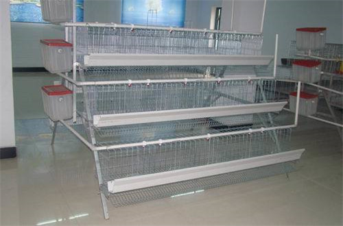 3 layers cage .jpg