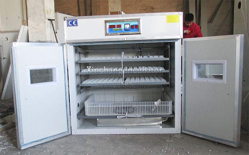 528 incubator (3)