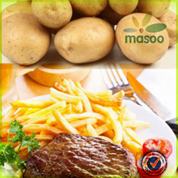 2014 Fresh Potato From Shandong China factory and exporter